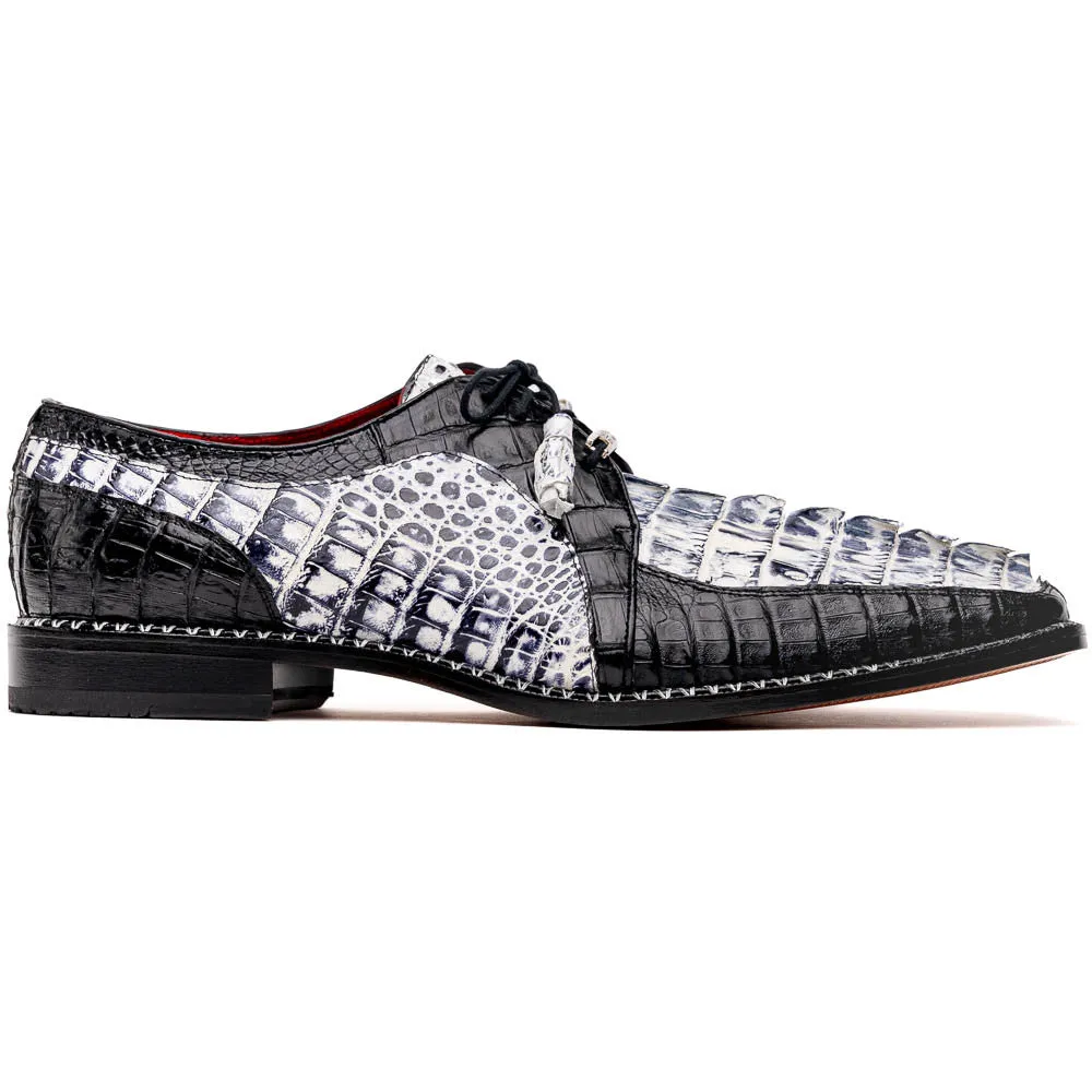 Marco Di Milano Caribe Derby Newspaper/Black Caiman Shoes